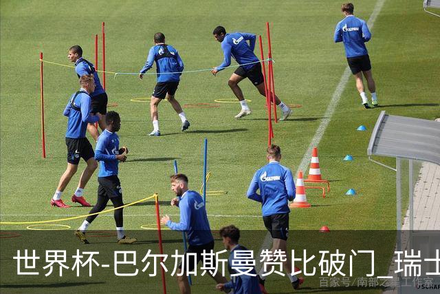 世界杯-巴尔加斯曼赞比破门 瑞士2-1加拿大小组第一