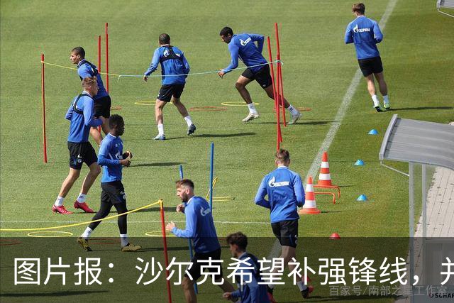 图片报：沙尔克希望补强锋线，并为40岁哲科提供了续约合同