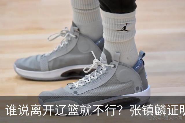 谁说离开辽篮就不行？张镇麟证明价值，赵继伟或效仿联手周琦冲冠