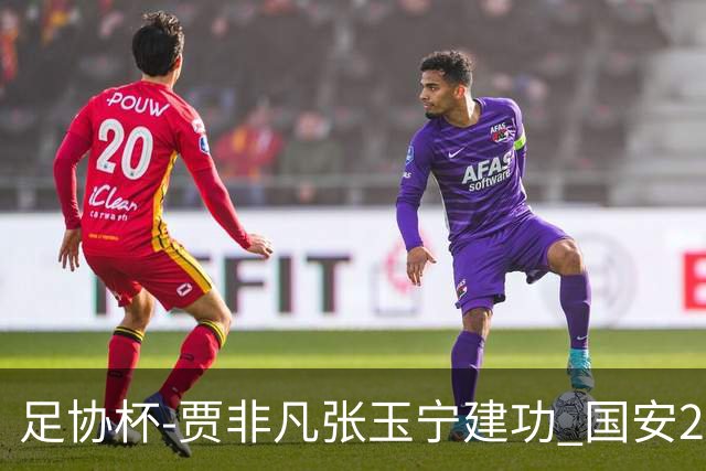 足协杯-贾非凡张玉宁建功 国安2-1大连可为晋级8强