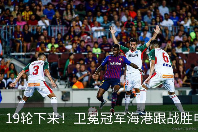 19轮下来！卫冕冠军海港跟战胜申花的天津 胜 平 负一模一样